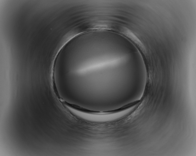 X0000094901378200712061020