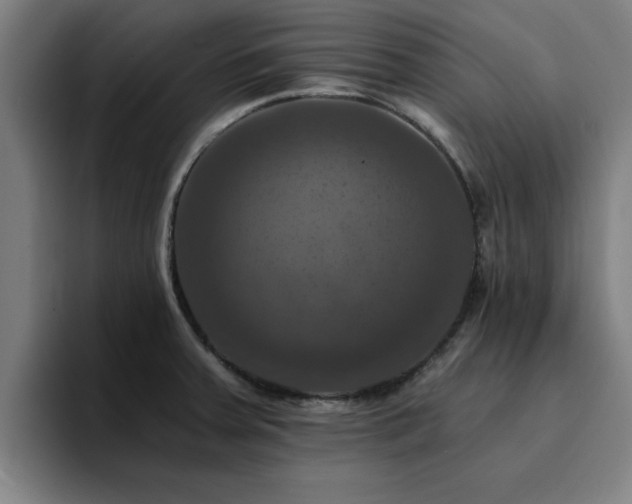 X0000094901379200712061020