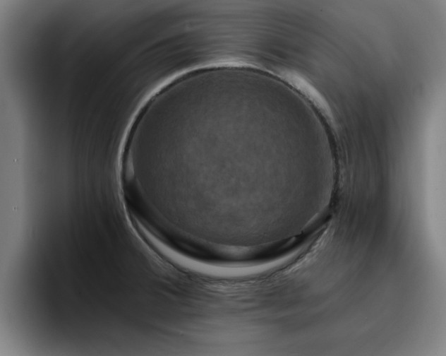 X0000094901380200712061020