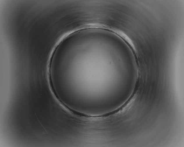 X0000094901381200712061020