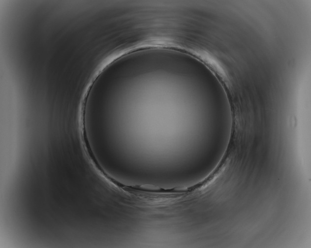 X0000094901382200712061020