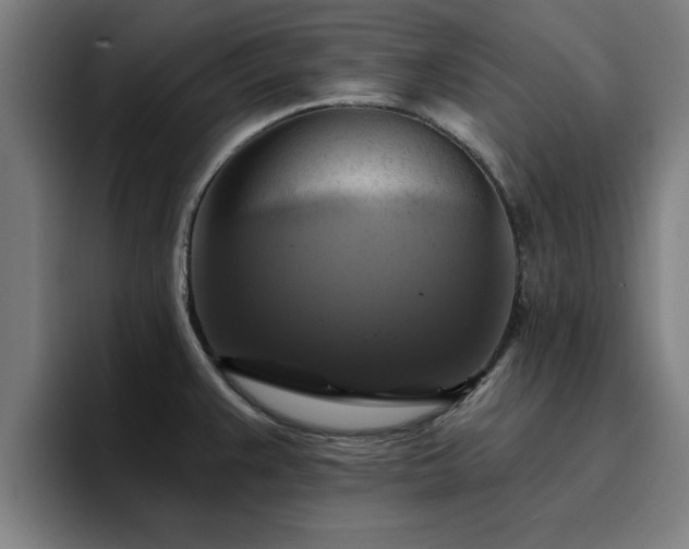 X0000094901383200712061020