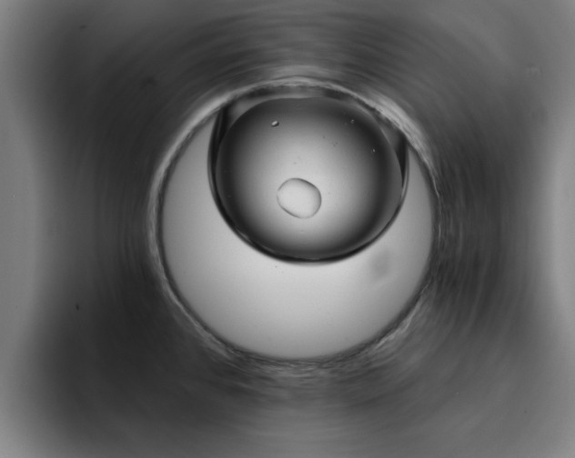 X0000094901384200712061020