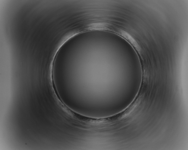X0000094901386200712061020