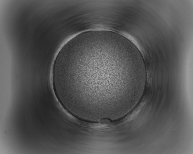 X0000094901387200712061020