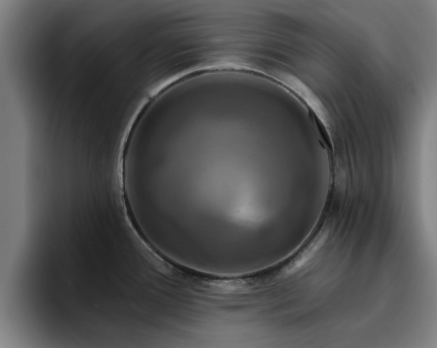 X0000094901388200712061020