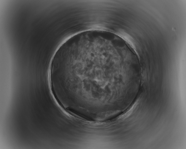 X0000094901391200712061020