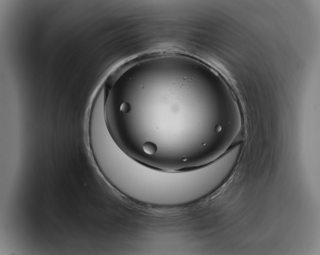 X0000094901392200712061020