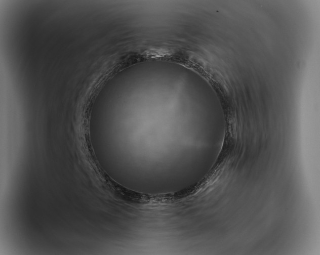 X0000094901393200712061019