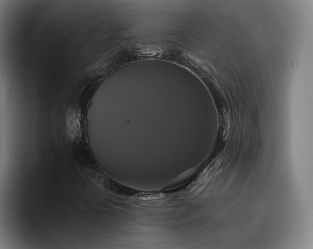 X0000094901394200712061019