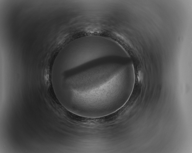 X0000094901396200712061019