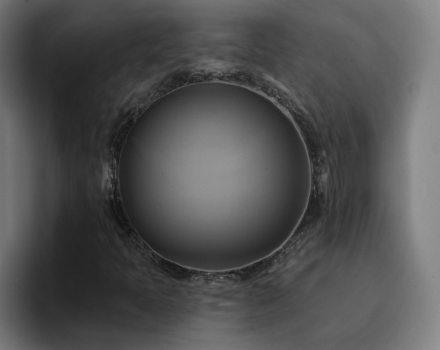 X0000094901397200712061019