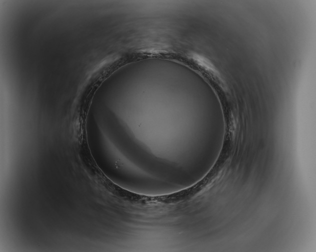 X0000094901398200712061019