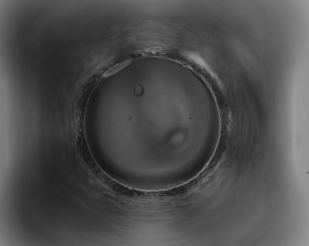 X0000094901399200712061019