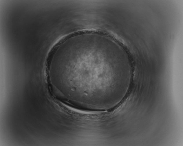 X0000094901400200712061019
