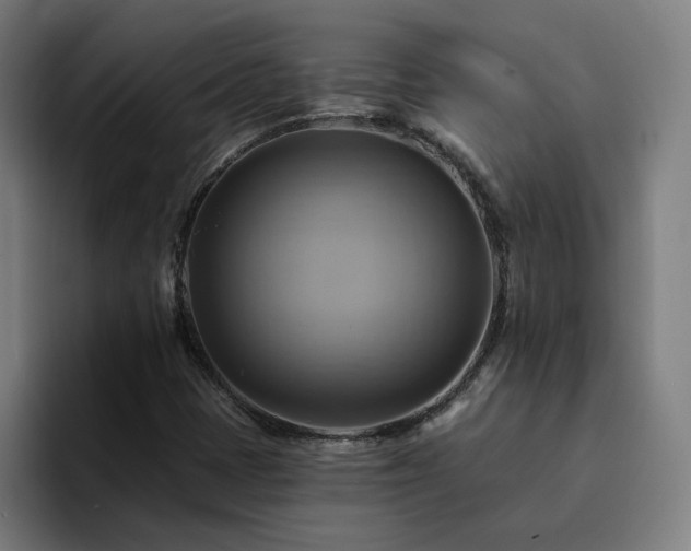 X0000094901401200712061019