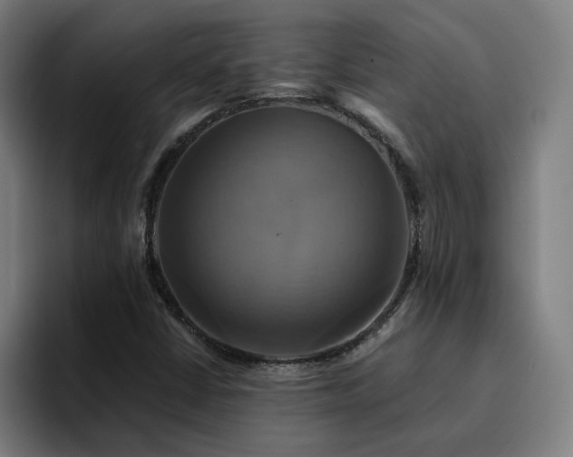 X0000094901402200712061019