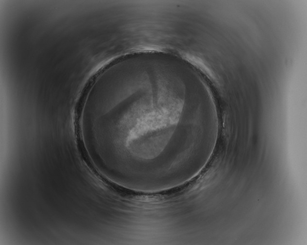 X0000094901404200712061019