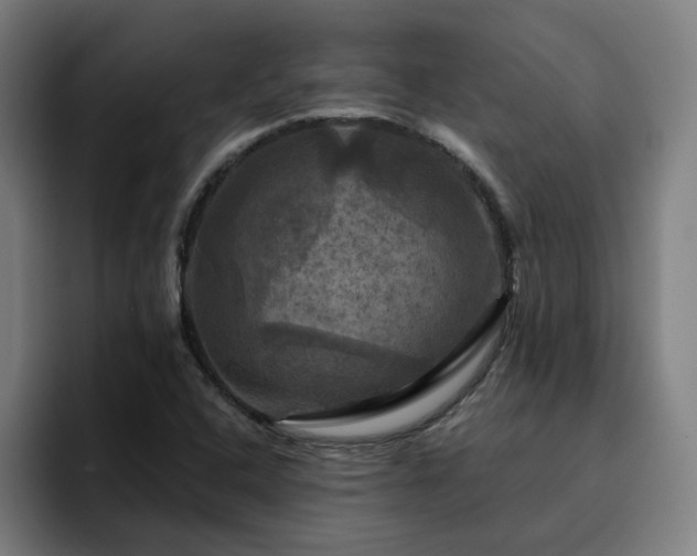 X0000094901408200712061019