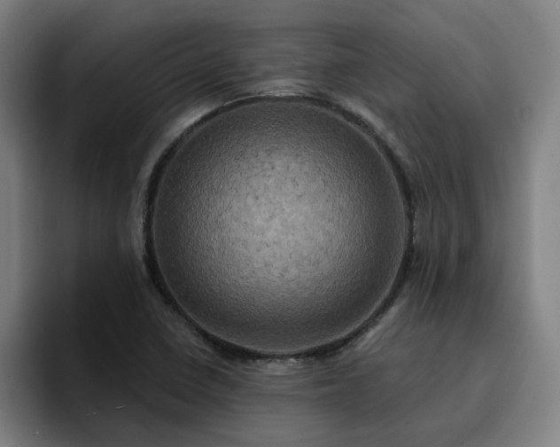 X0000094901410200712061019