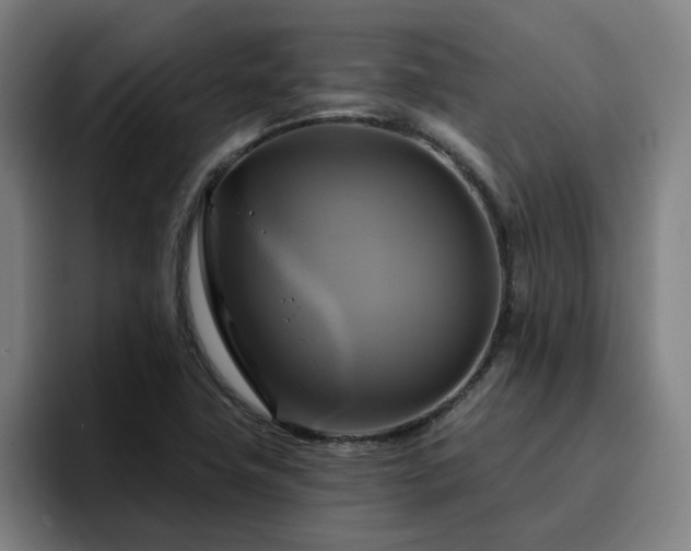 X0000094901411200712061019