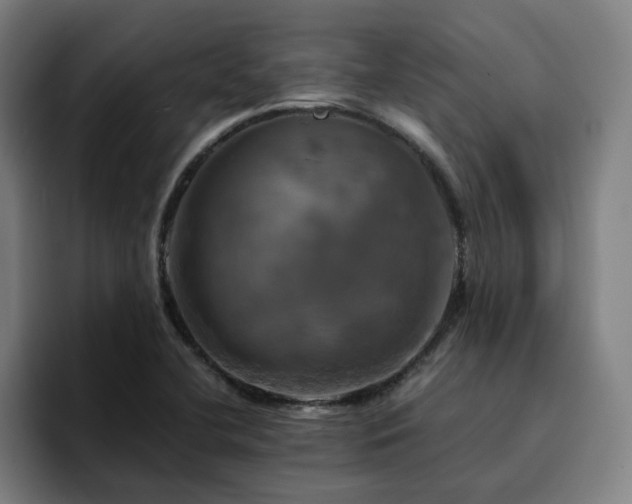 X0000094901412200712061019