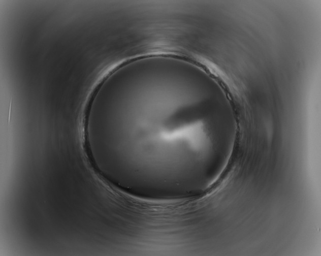 X0000094901415200712061019