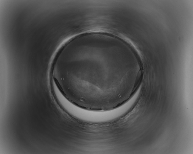X0000094901416200712061019