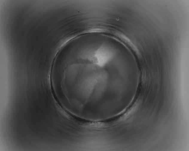 X0000094901417200712061019