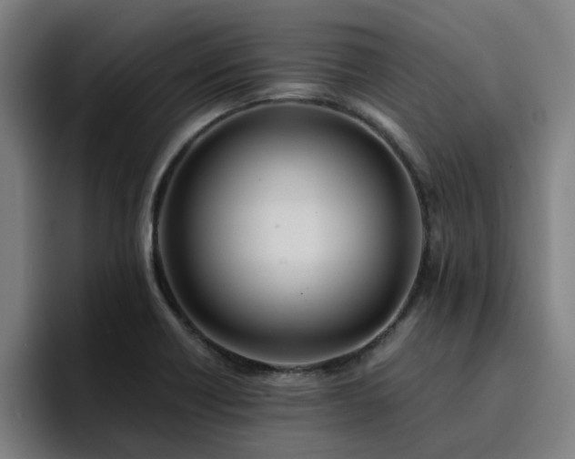 X0000094901418200712061019