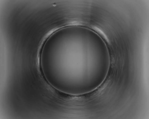 X0000094901419200712061019