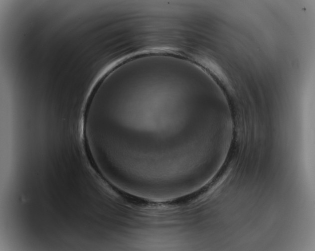 X0000094901420200712061019