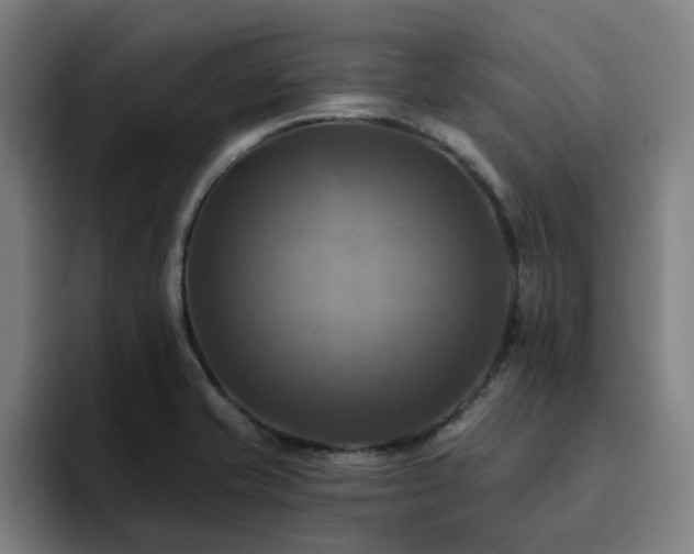 X0000094901421200712061019
