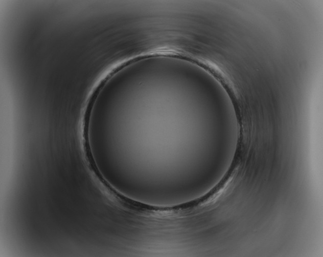 X0000094901422200712061019