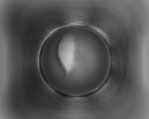 X0000094901423200712061019