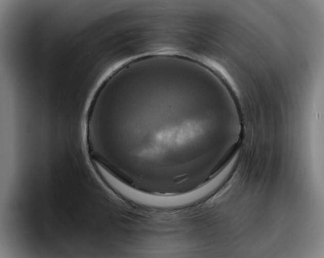 X0000094901424200712061019