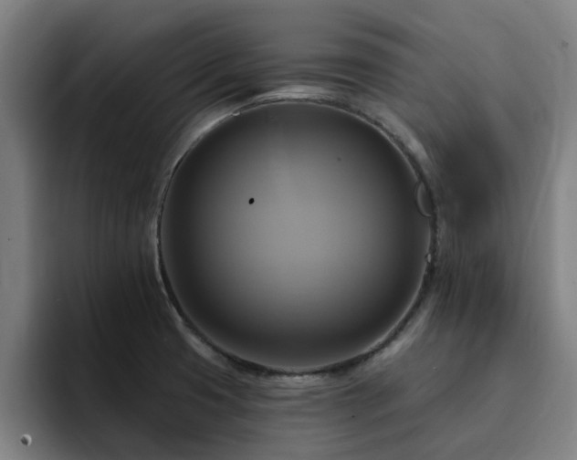 X0000094901425200712061019