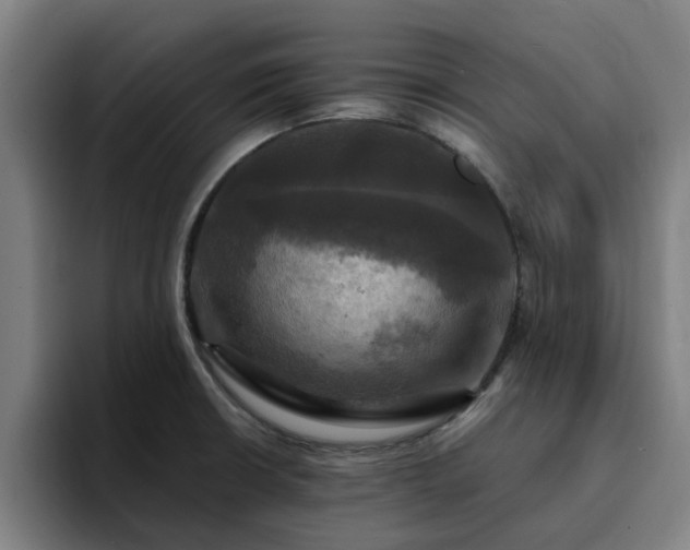 X0000094901426200712061019