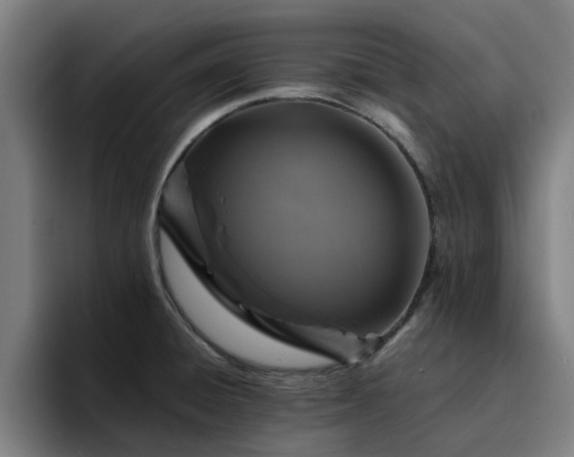 X0000094901428200712061019
