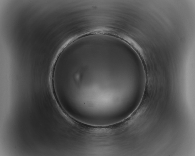 X0000094901429200712061019