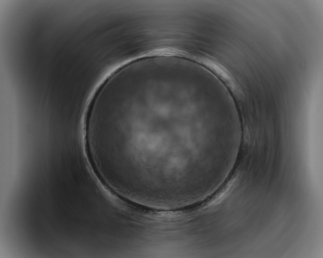 X0000094901430200712061019