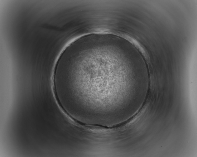 X0000094901432200712061019