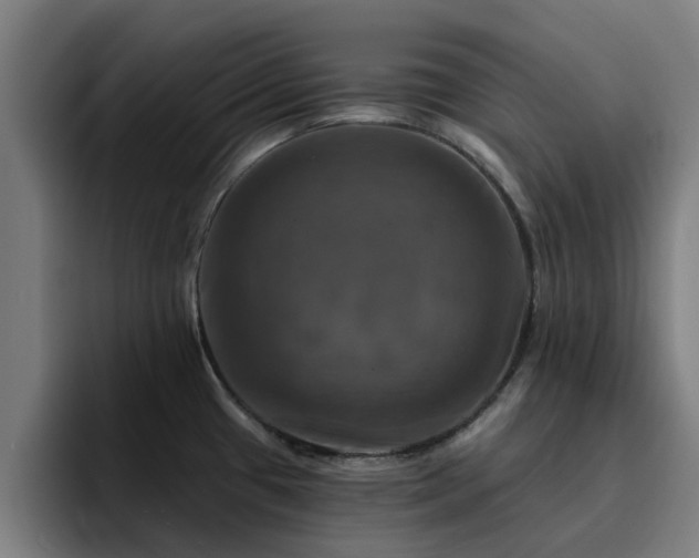 X0000094901433200712061019