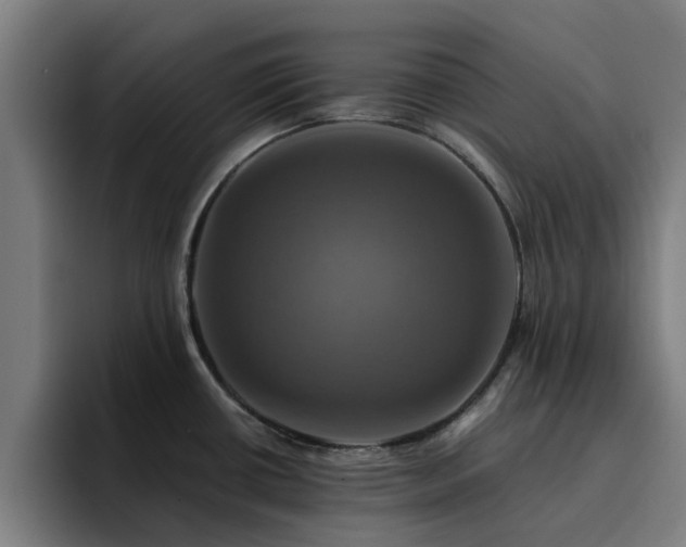 X0000094901434200712061019