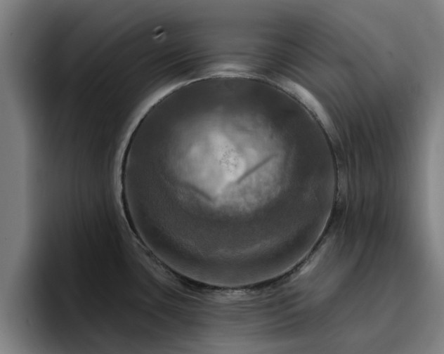 X0000094901435200712061019