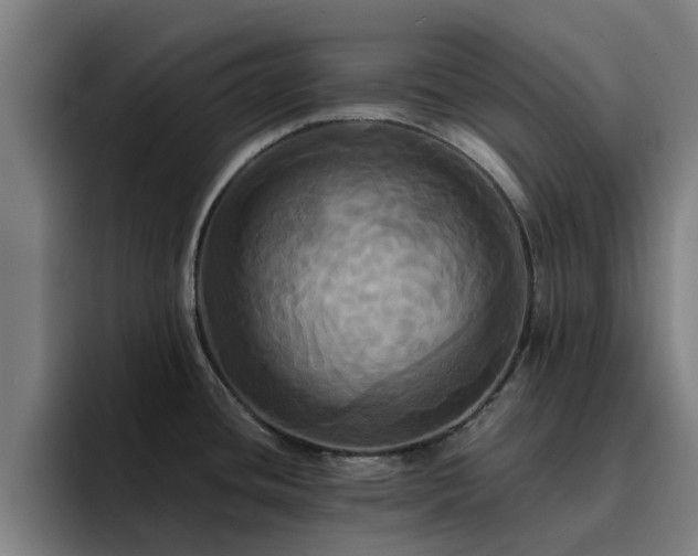 X0000094901436200712061019
