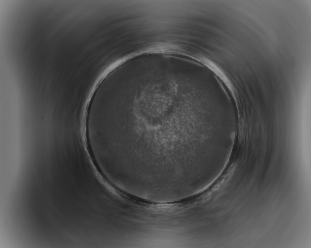 X0000094901437200712061019