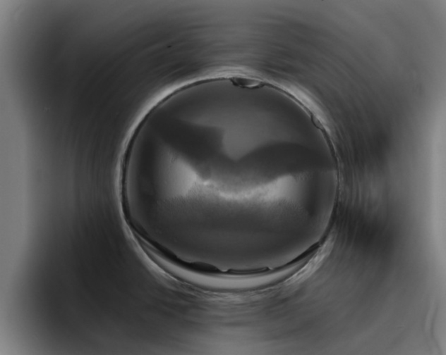 X0000094901438200712061019