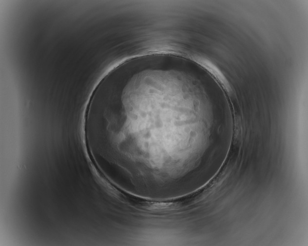 X0000094901439200712061019