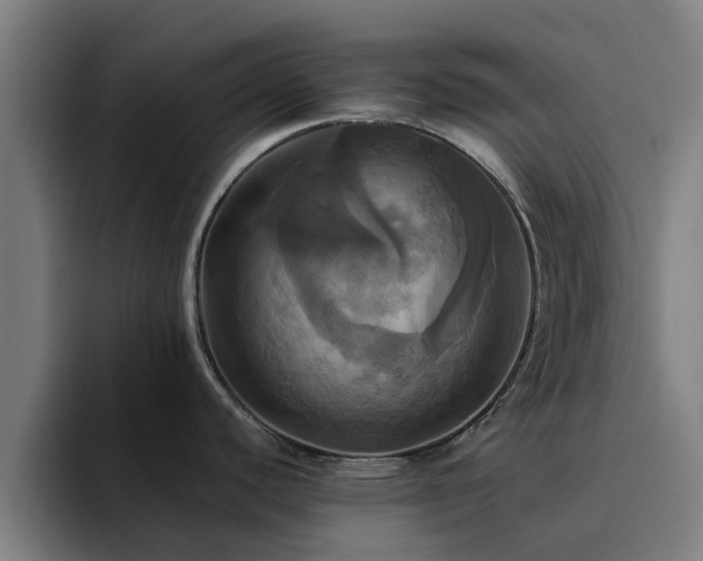 X0000094901440200712061019